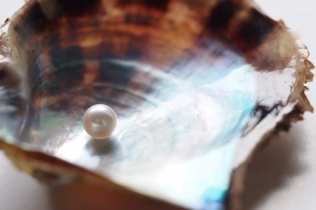 パールの持つエシカルな輝き 伊勢志摩からの便り エシカルstory エシカルストーリー パールの持つエシカルな輝き 伊勢志摩からの便り エシカルstory エシカルストーリー