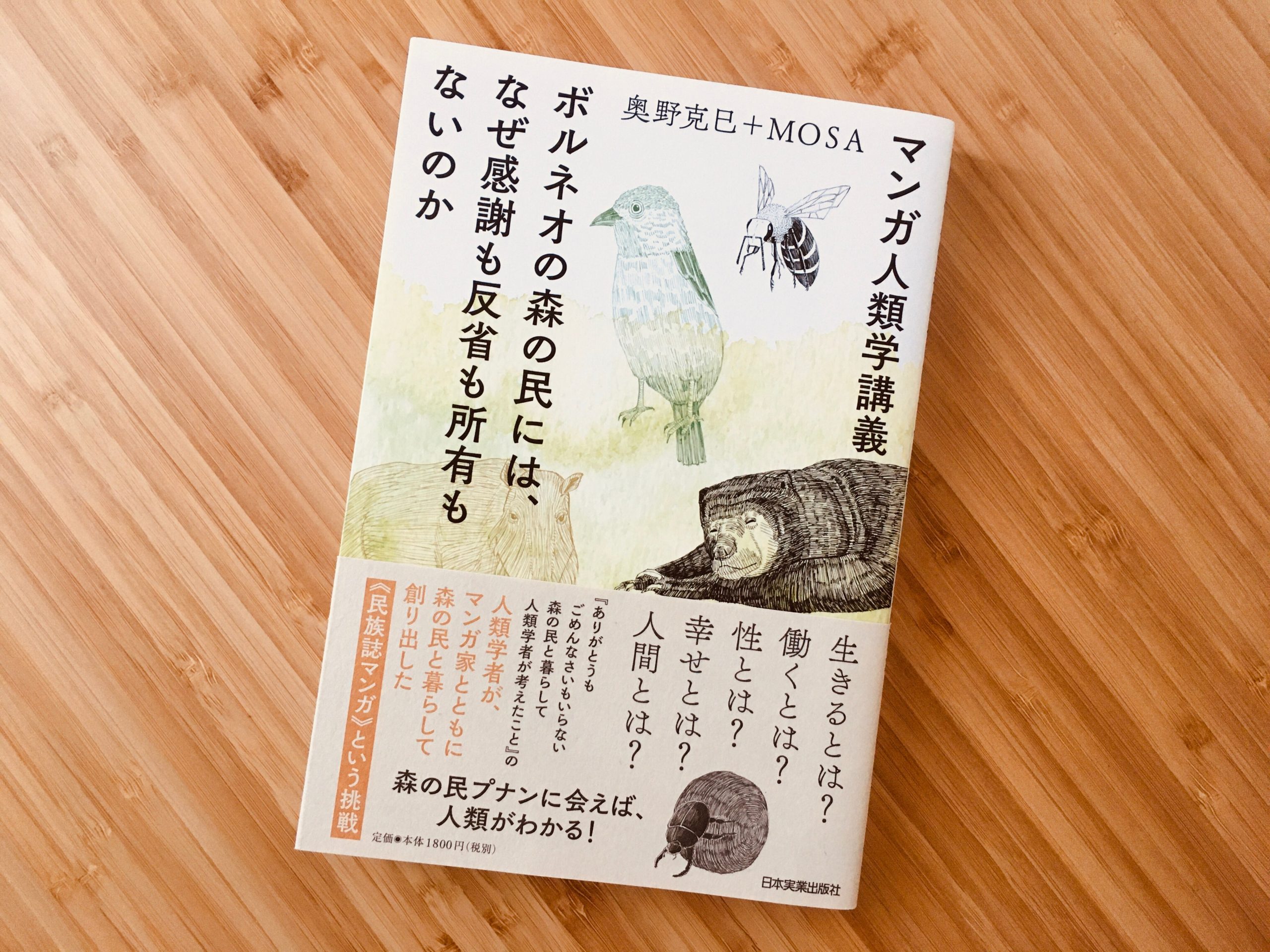 『Hornbill and Dragon』セラート　ボルネオ　人類学民族芸術民芸 Hornbill and Dragon』セラート ボルネオ 人類学民族芸術民芸