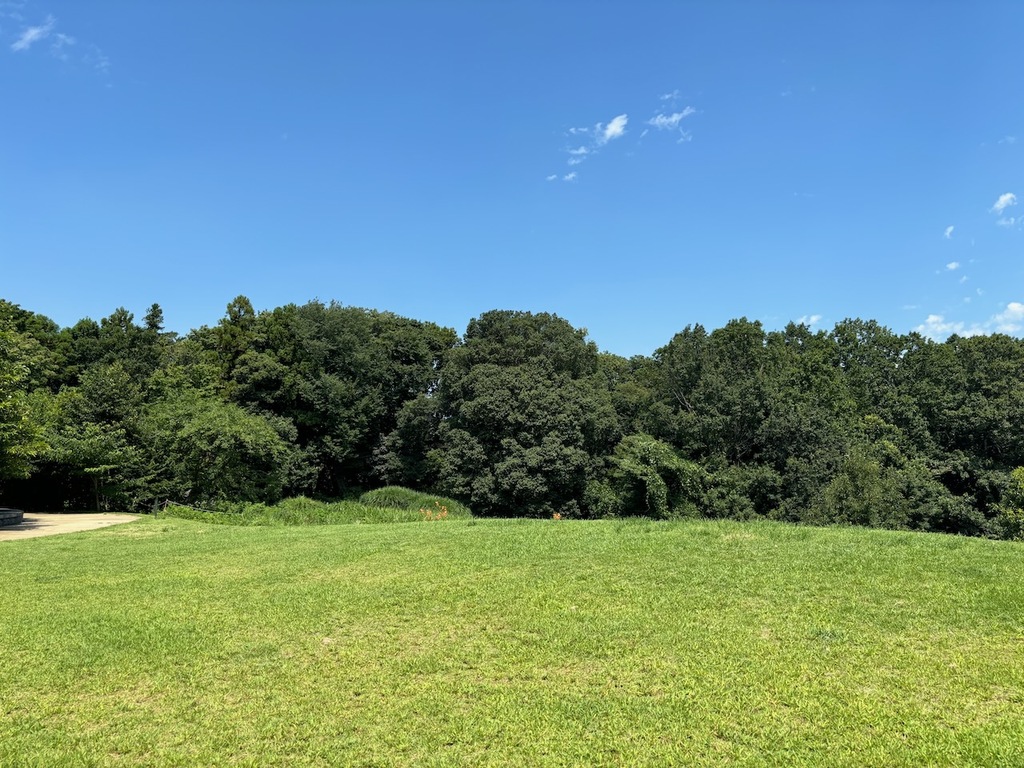 広い公園